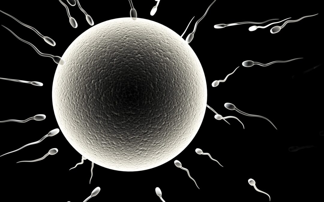 How Does Testosterone Replacement Therapy Affect Fertility?